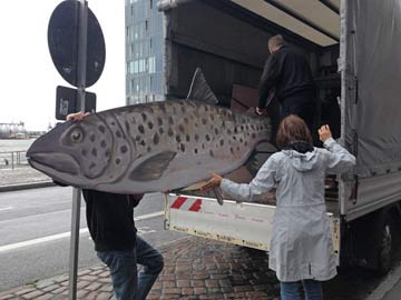 FrauenFreiluftGalerie Frauen in Fischindustrie